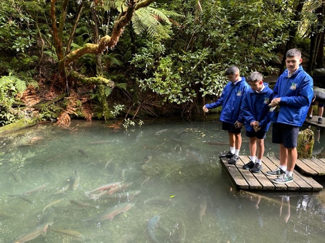 6 ทัศนศึกษาที่ Staglands Wildlife Reserve & Cafe