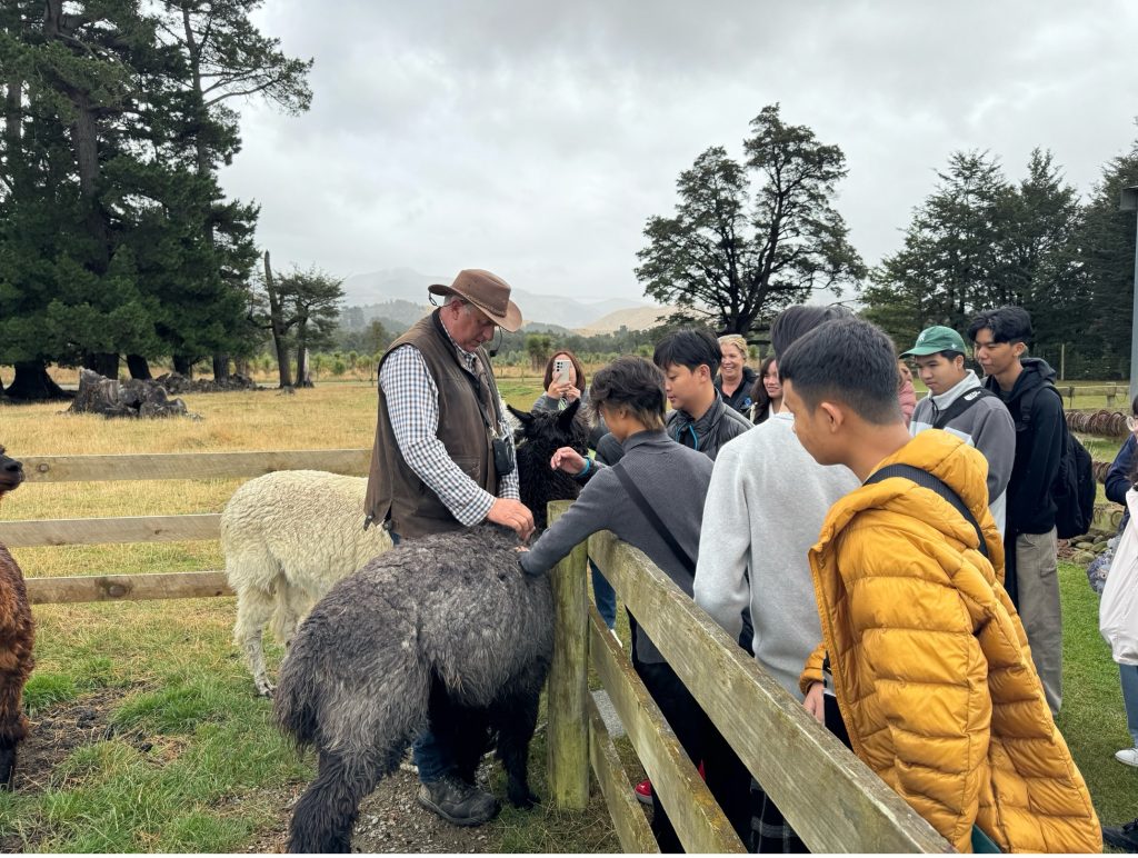 NEW ZEALAND SUMMER CAMP (4 WEEKS/2024)